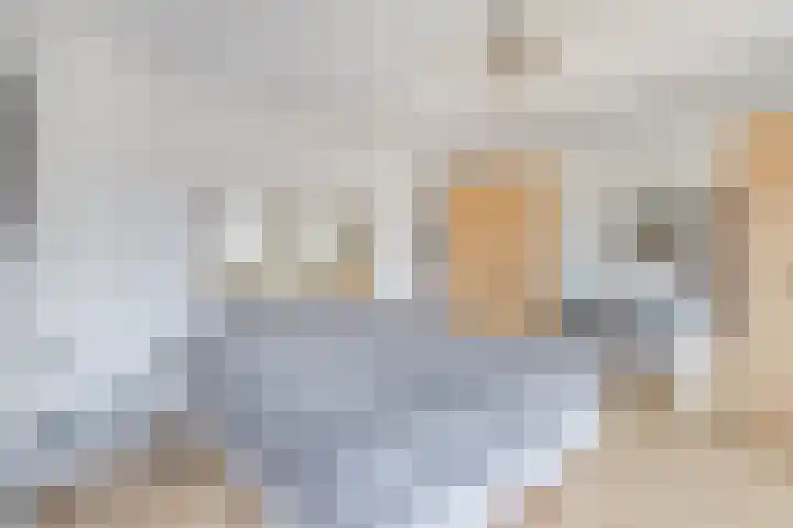 Lindendriesstraat 44 Stein thumbnail 8