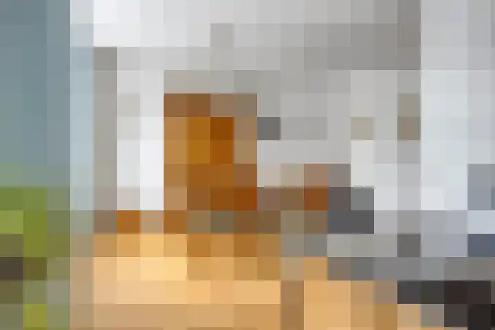 Lindengaard 18 Goirle thumbnail 14