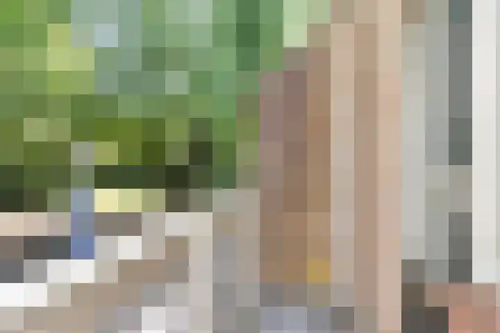 Lindengaard 18 Goirle thumbnail 22