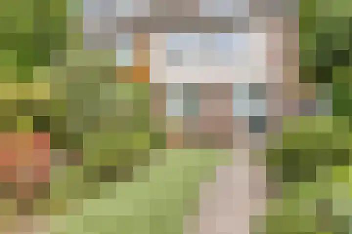 Lindengaard 18 Goirle thumbnail 30