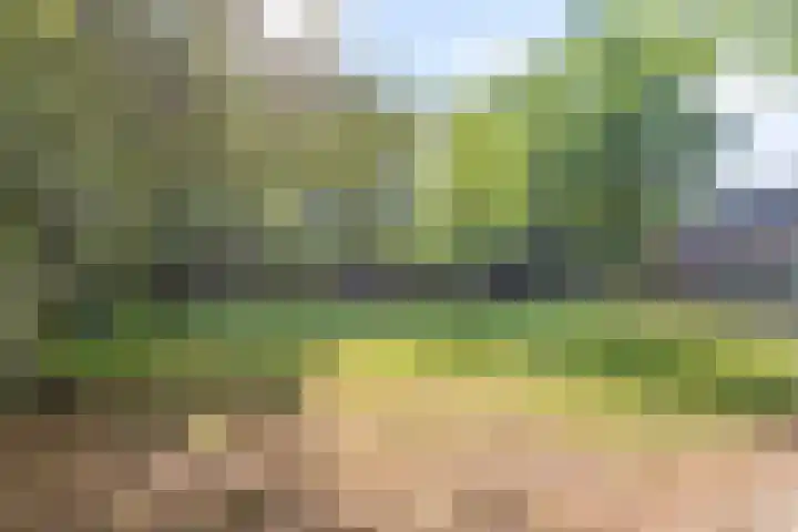 Lindengaard 18 Goirle thumbnail 34