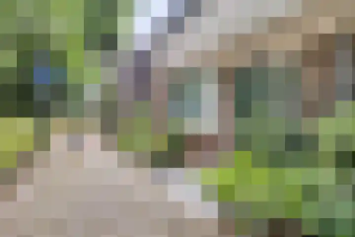 Lindengaard 18 Goirle thumbnail 7