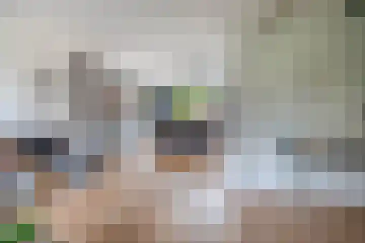 Lindengaarde 2 Waddinxveen thumbnail 13