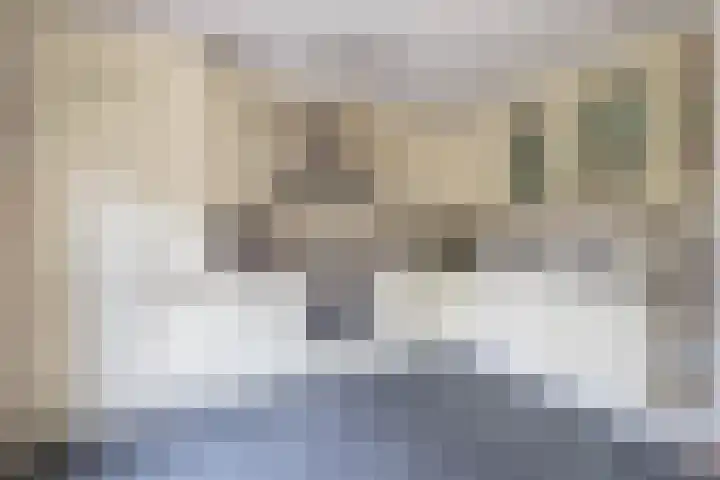 Lindengaarde 2 Waddinxveen thumbnail 16