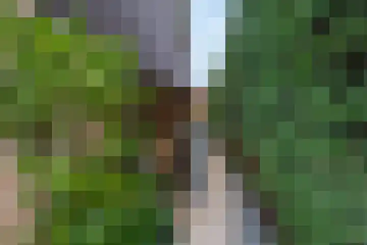 Lindengaarde 2 Waddinxveen thumbnail 19