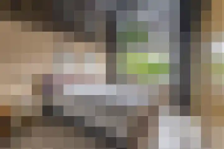 Lindengaarde 2 Waddinxveen thumbnail 28
