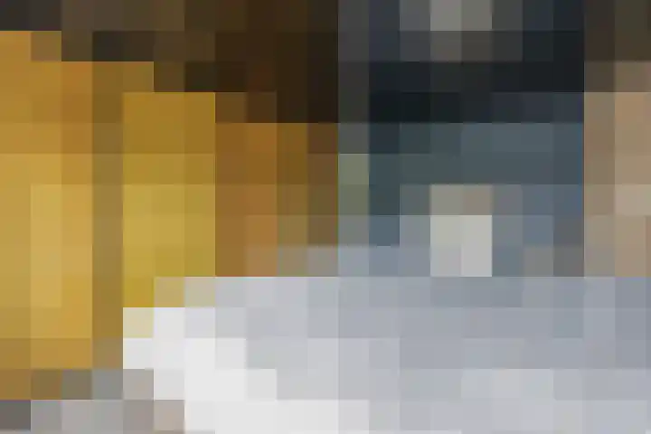 Lindengaarde 2 Waddinxveen thumbnail 29