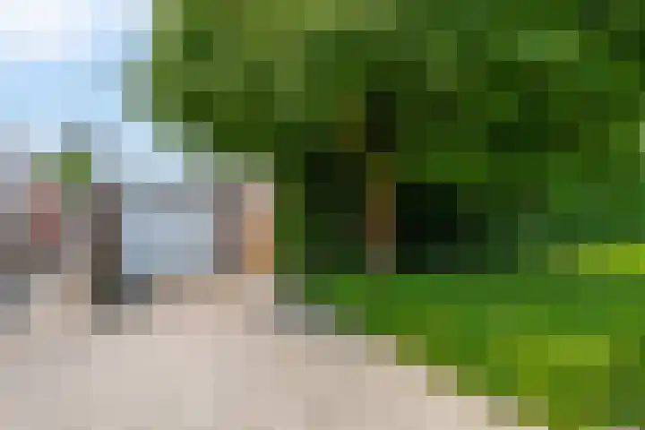 Lindengaarde 2 Waddinxveen thumbnail 5