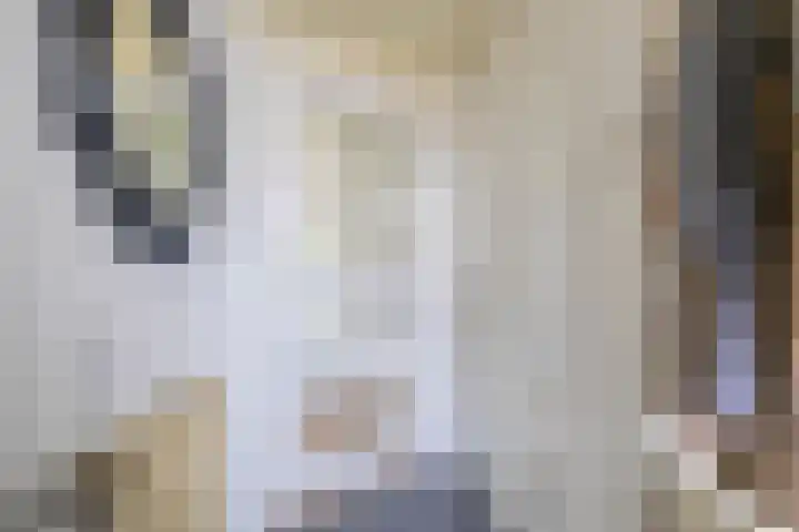 Lindengaarde 2 Waddinxveen thumbnail 9