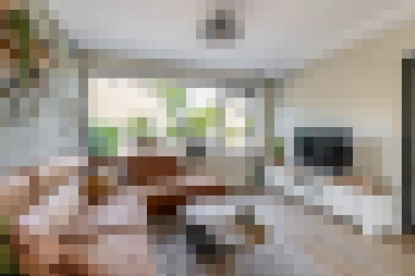 Lindengaarde 22 Waddinxveen thumbnail 12
