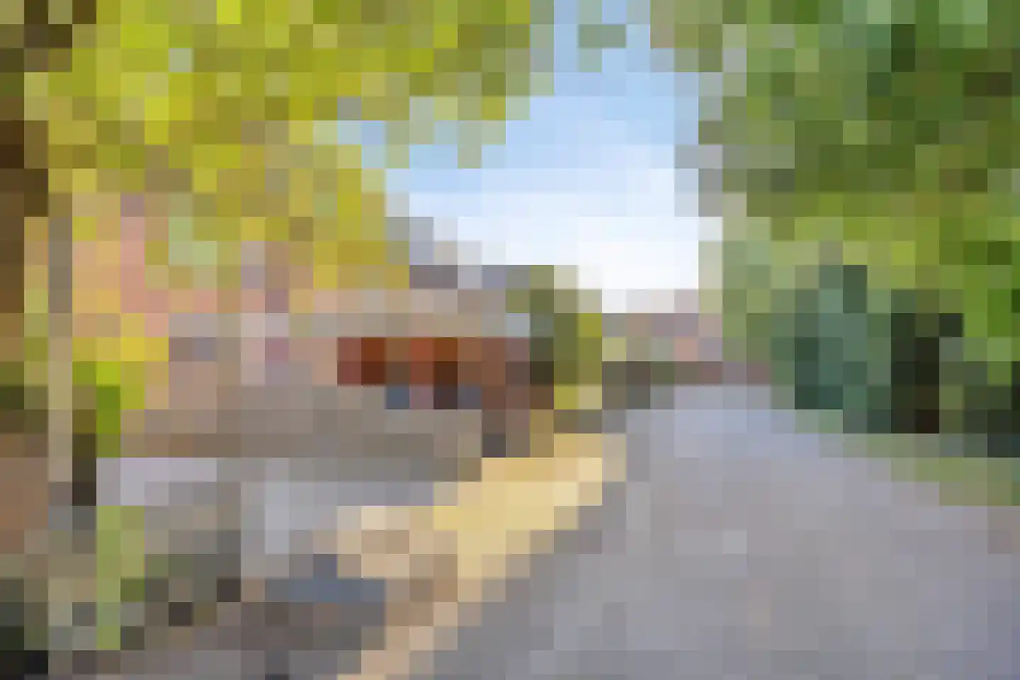 Lindengouw 119 Almere thumbnail 7