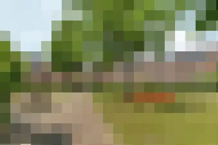 Lindengouw 120 Almere thumbnail 40
