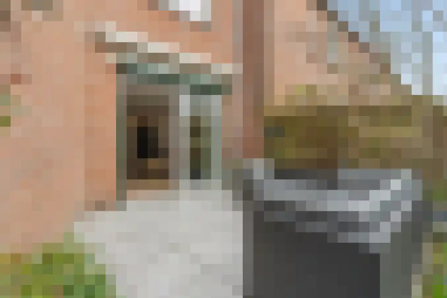Lindengouw 23 Almere thumbnail 52