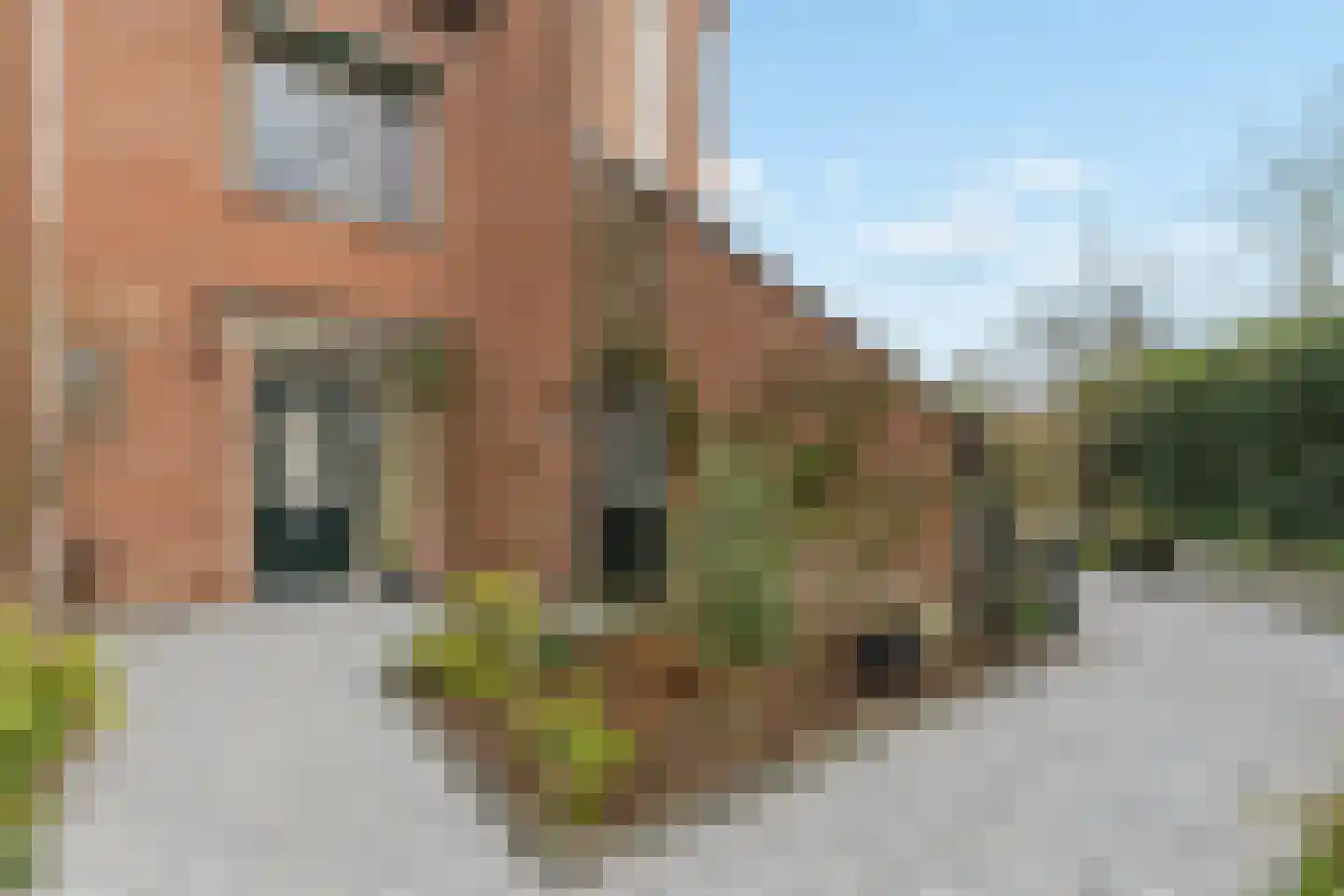 Lindengouw 23 Almere thumbnail 6