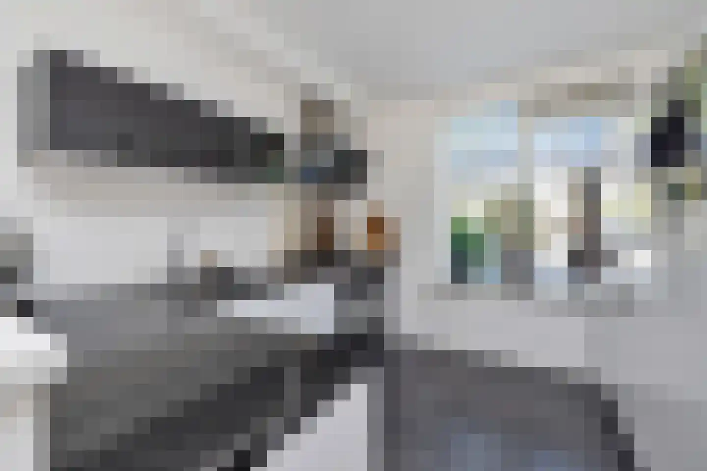Lindengouw 30 Almere thumbnail 15