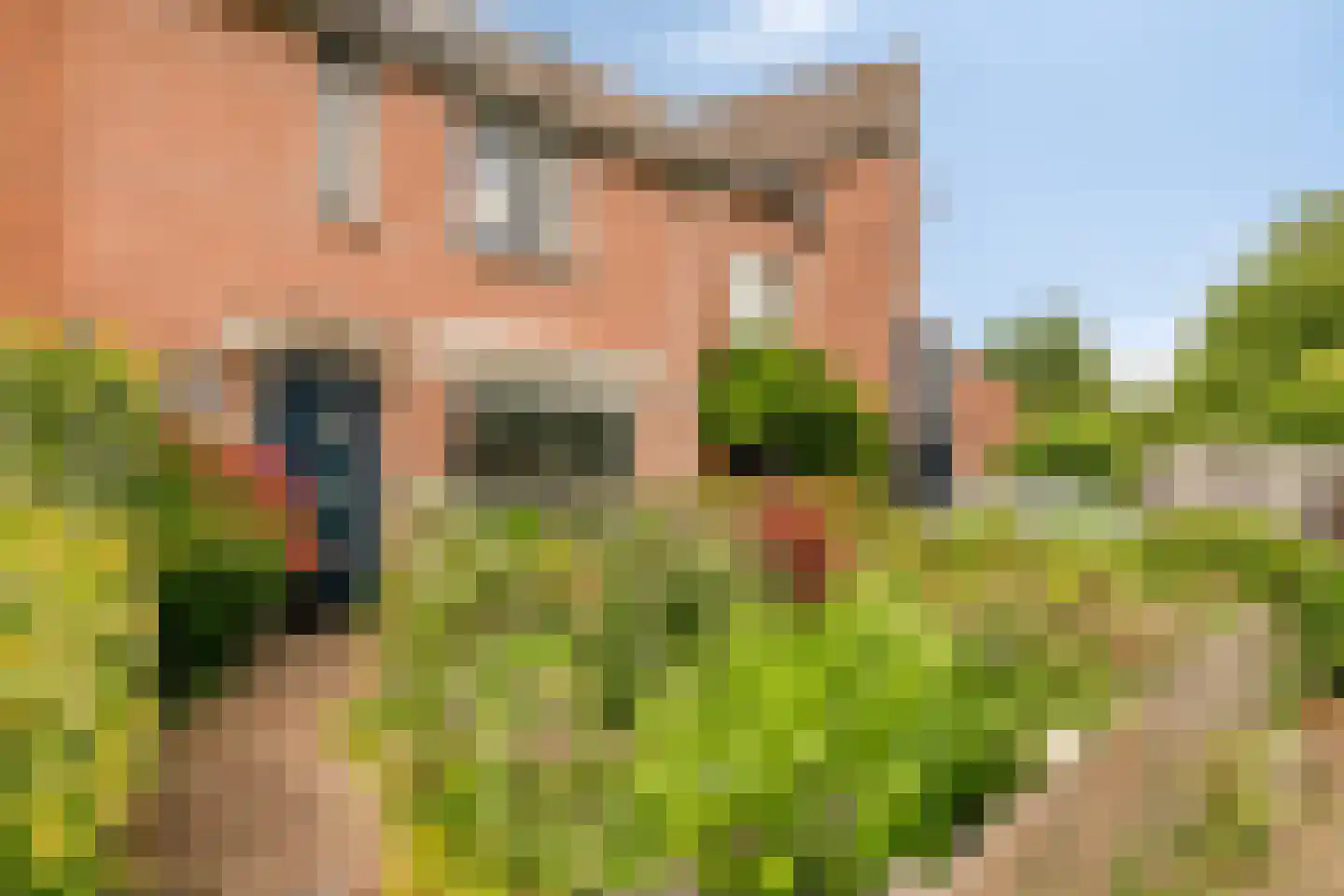 Lindengouw 55 Almere thumbnail 6