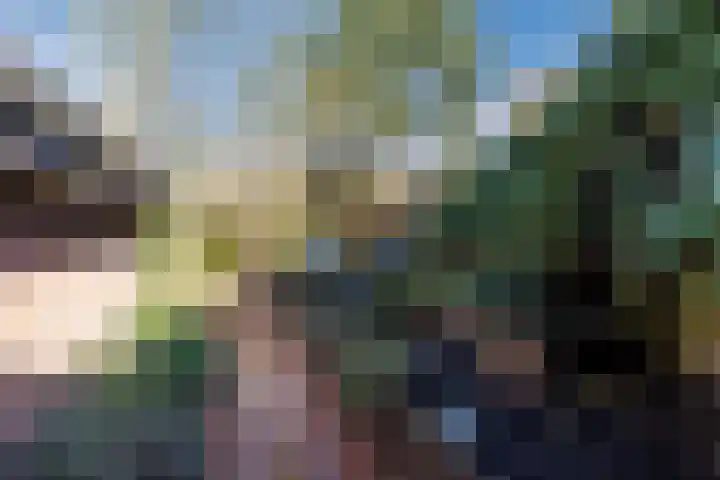 Lindengouw 97 Almere thumbnail 45