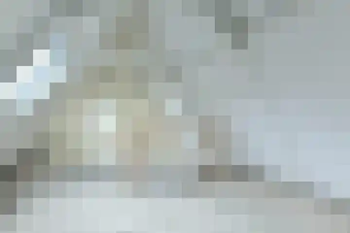 Lindengracht 12 2 Amsterdam thumbnail 6