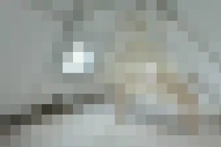 Lindengracht 12 2 Amsterdam thumbnail 7
