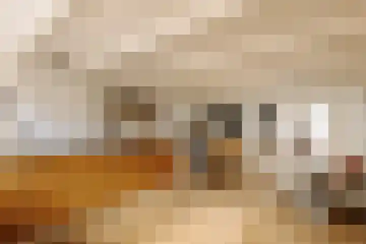 Lindengracht 186 Amsterdam thumbnail 7