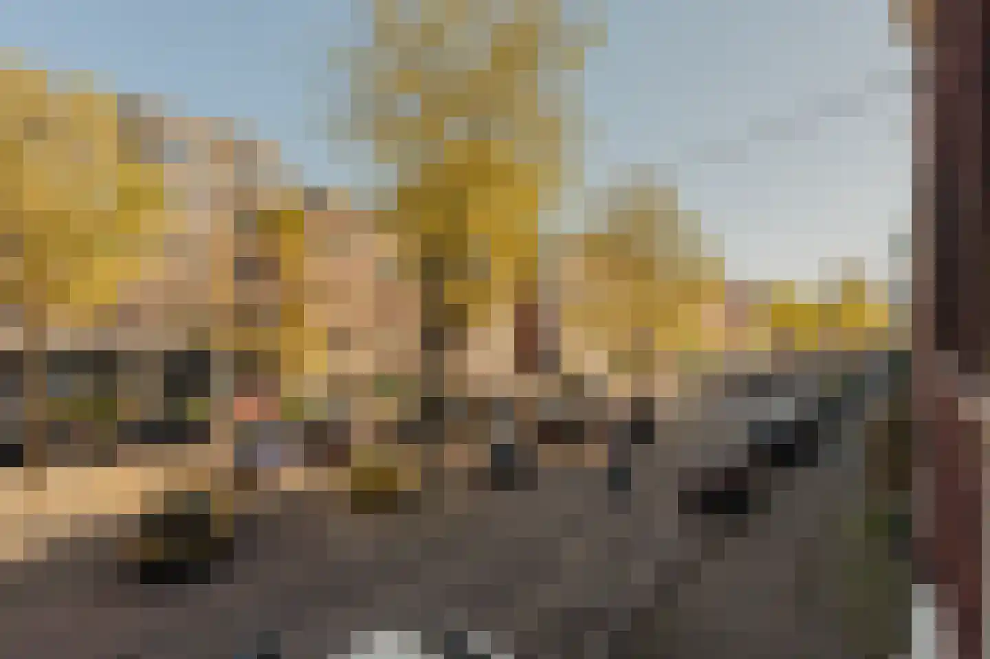 Lindengracht 209 H Amsterdam thumbnail 5