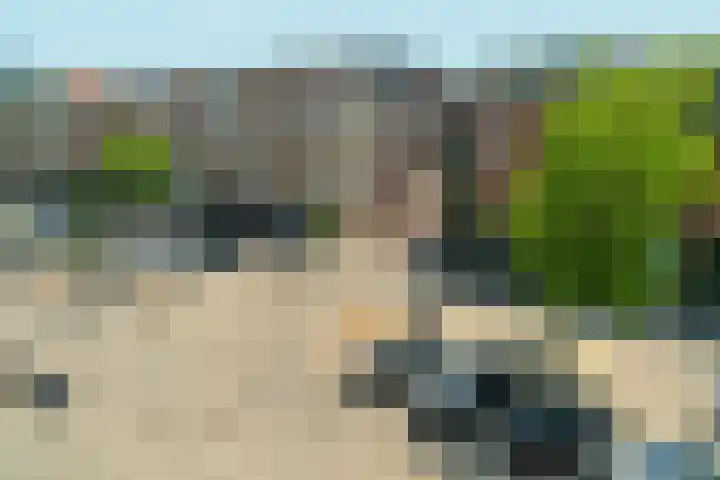 Lindengracht 254 2 Amsterdam thumbnail 35