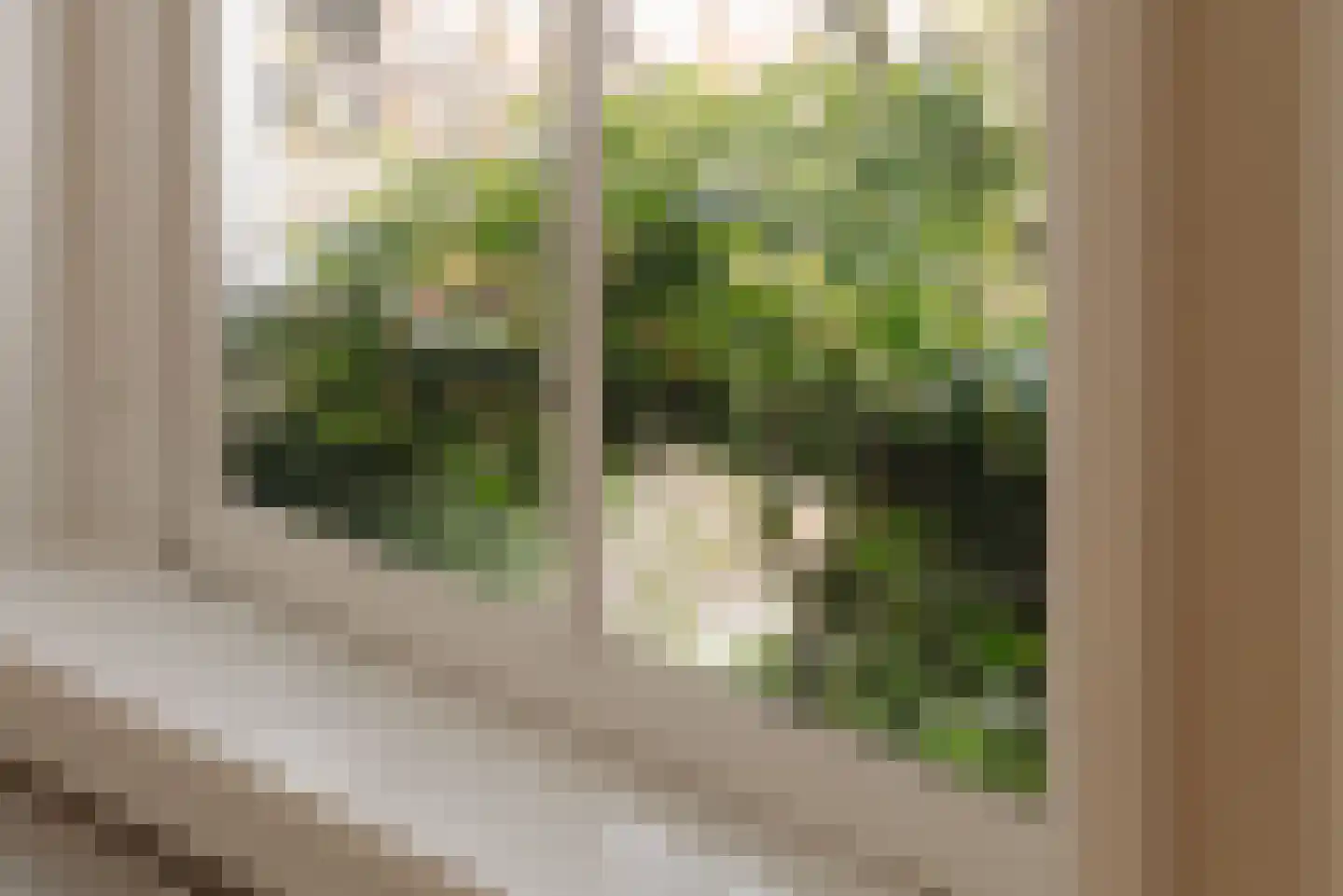 Lindengracht 37 1 Amsterdam thumbnail 8