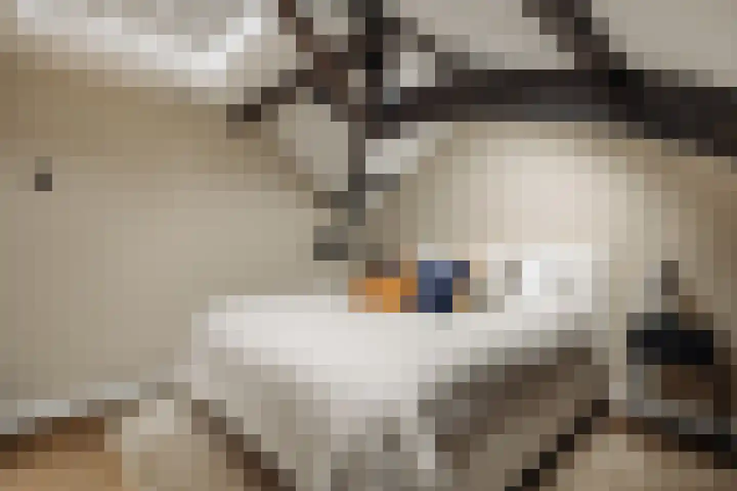 Lindengracht 85 B Amsterdam thumbnail 29
