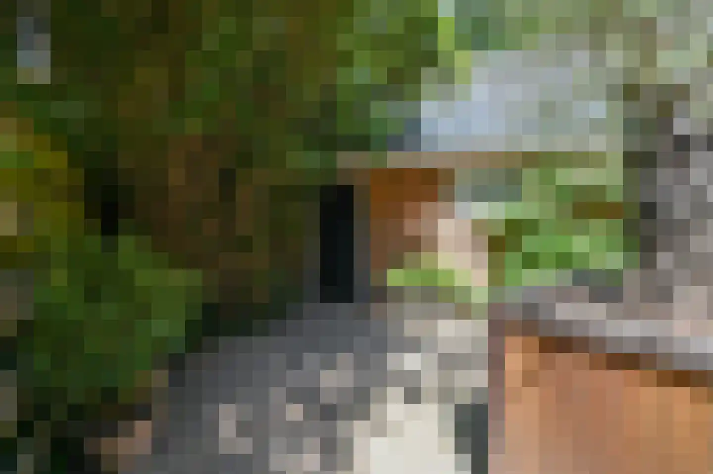 Lindenheuvel 6 Hilversum thumbnail 15