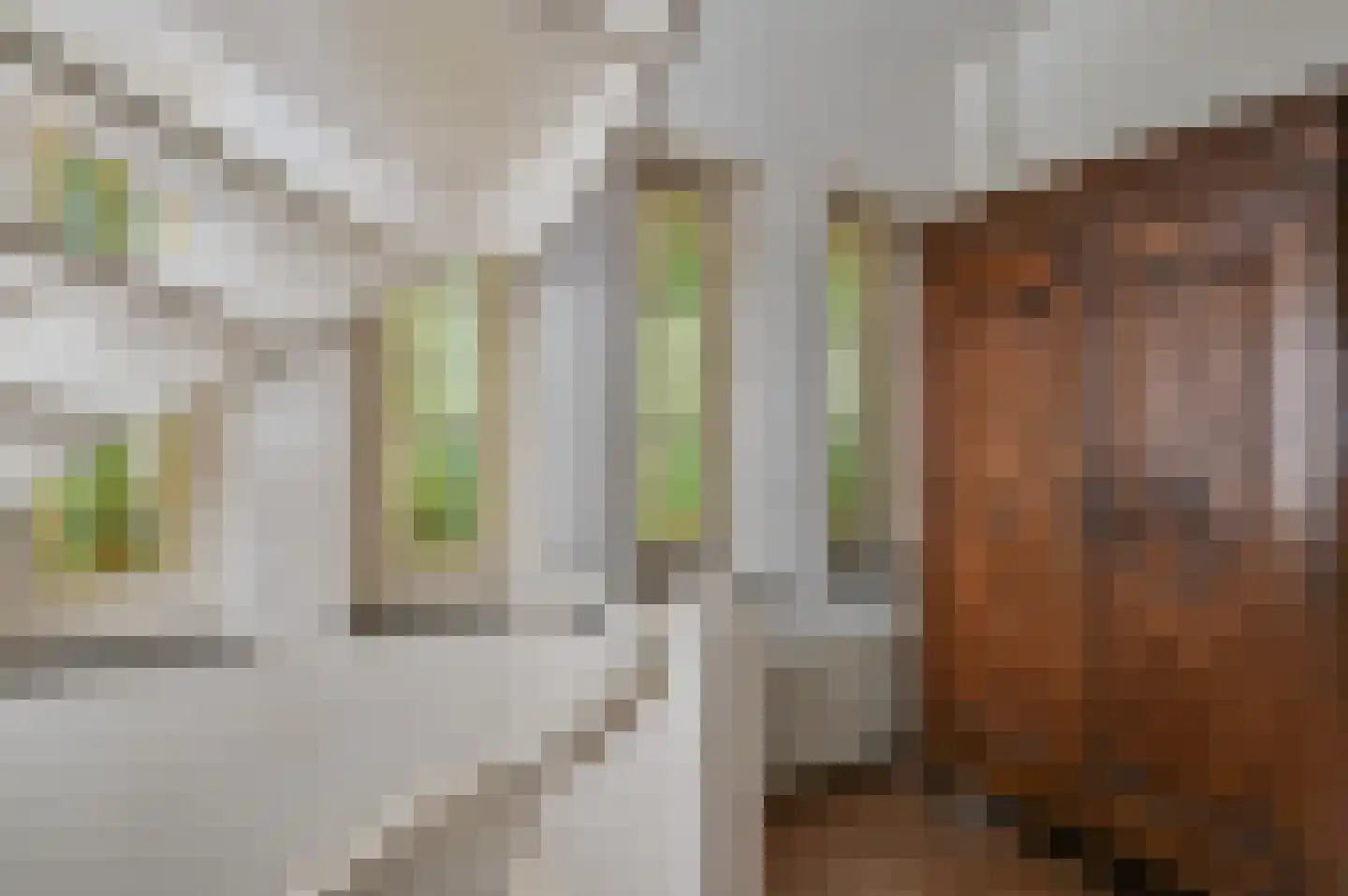 Lindenheuvel 6 Hilversum thumbnail 25