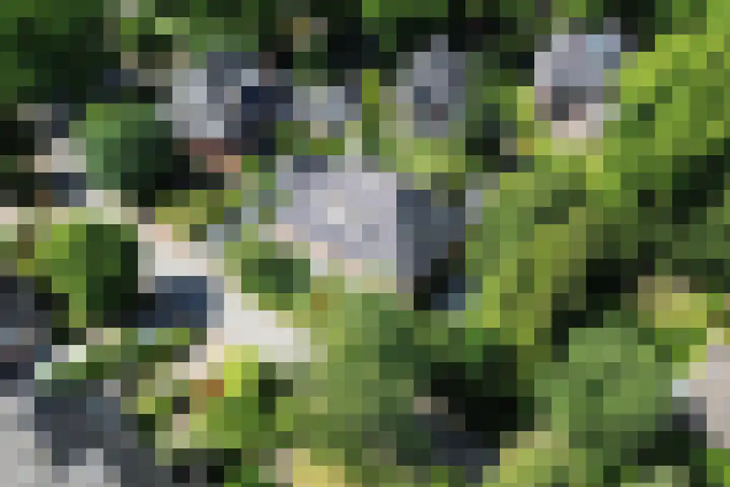 Lindenheuvel 6 Hilversum thumbnail 48