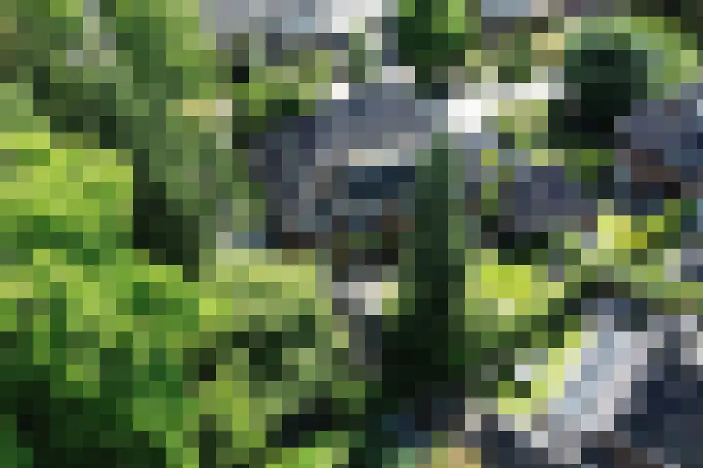 Lindenheuvel 6 Hilversum thumbnail 49