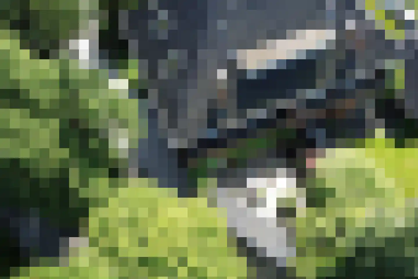 Lindenheuvel 6 Hilversum thumbnail 50