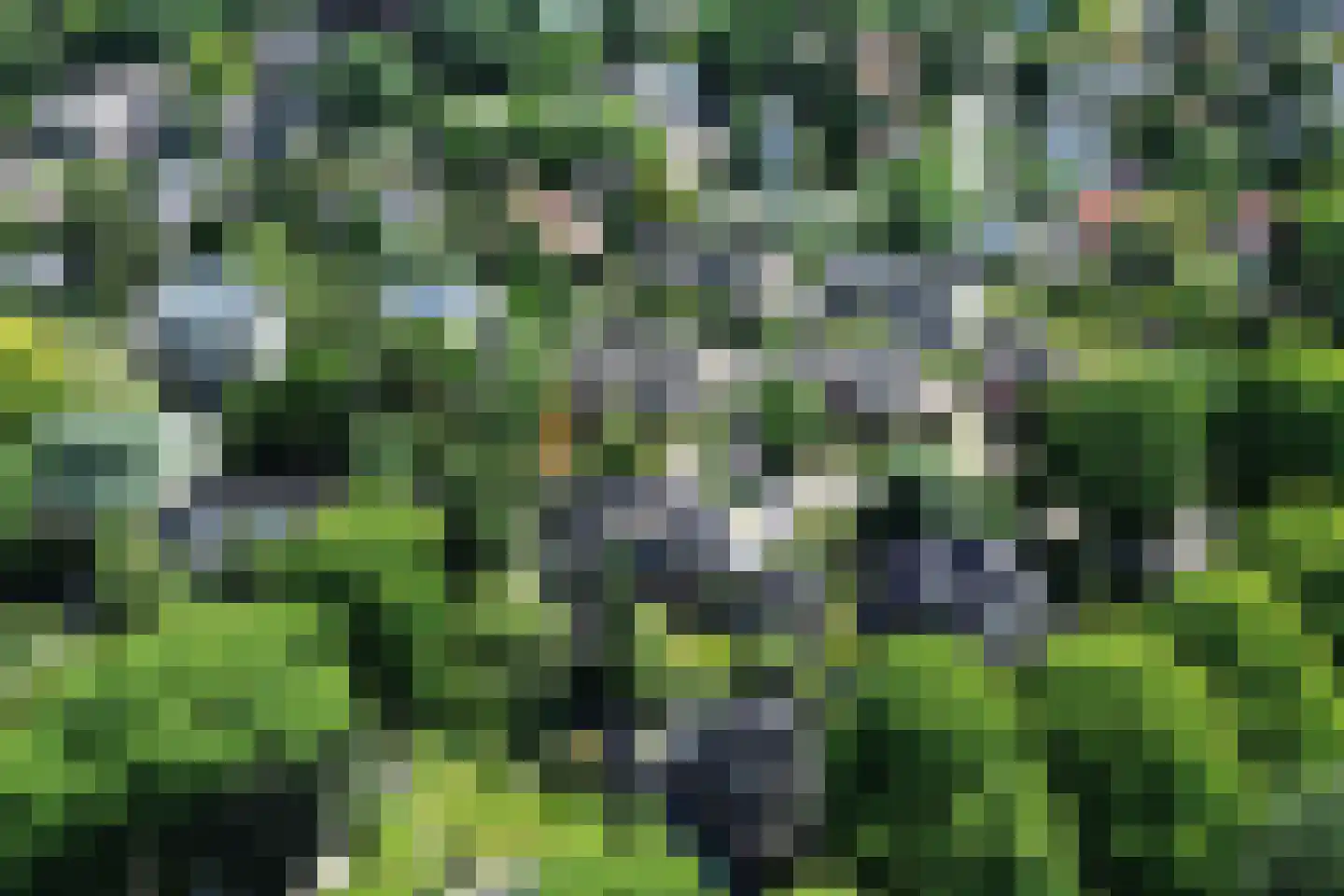 Lindenheuvel 6 Hilversum thumbnail 53
