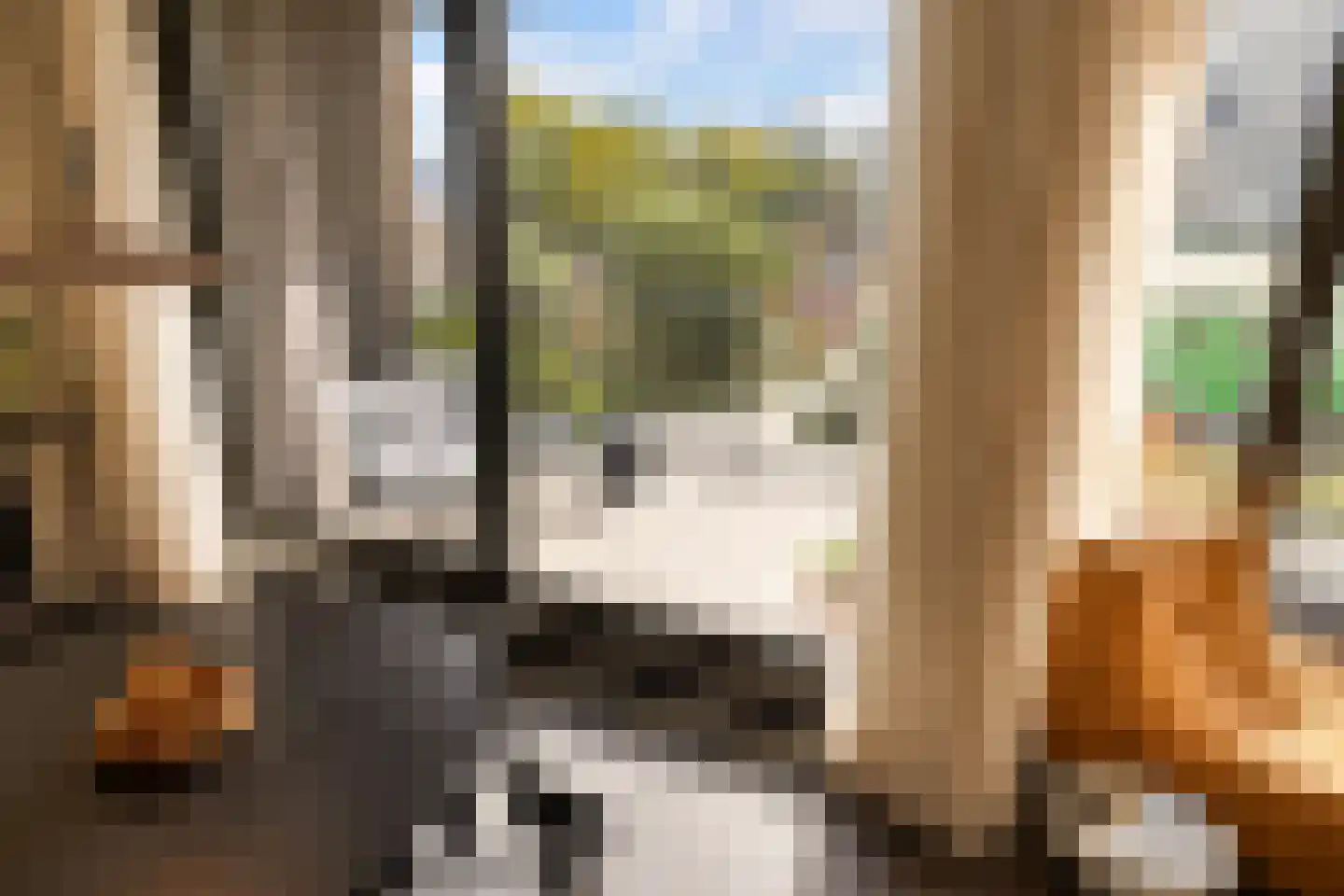 Lindenhoevestraat 25 Amsterdam thumbnail 12