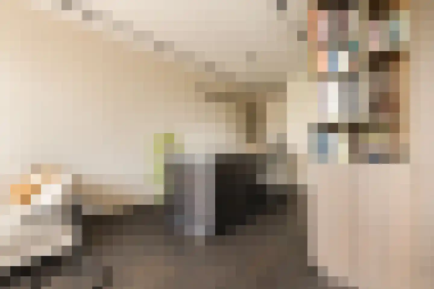 Lindenhoevestraat 25 Amsterdam thumbnail 14