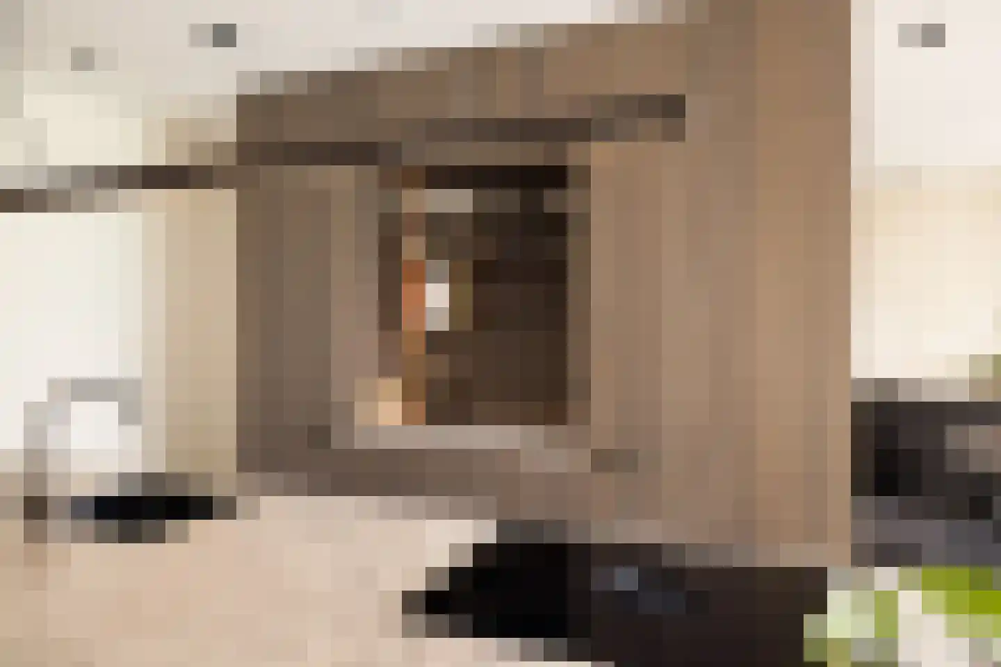 Lindenhoevestraat 25 Amsterdam thumbnail 9