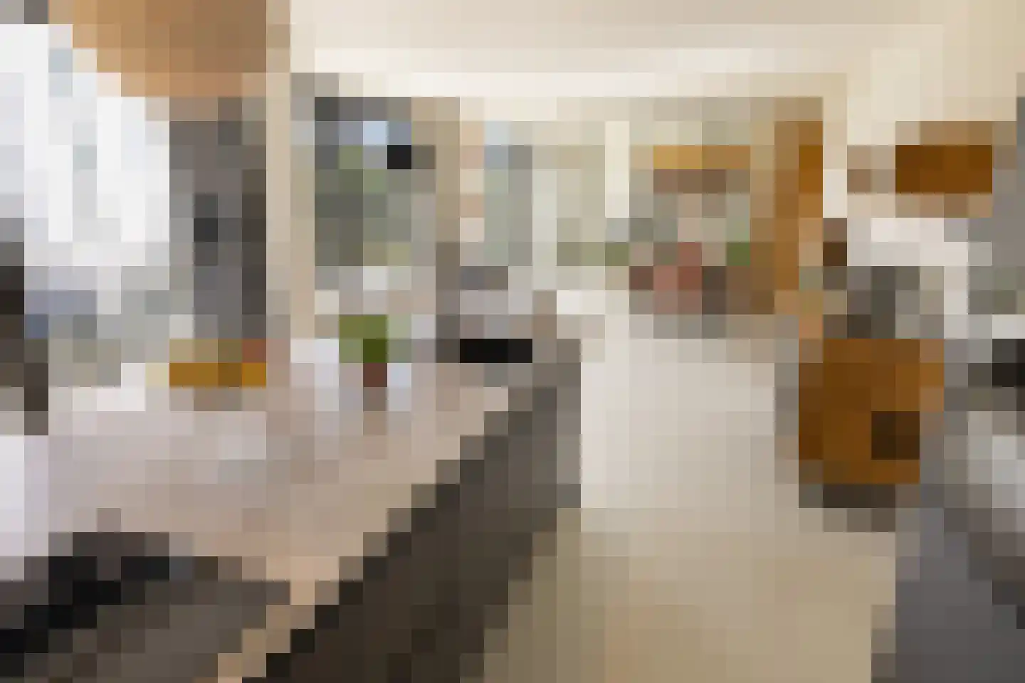 Lindenhoevestraat 35 Amsterdam thumbnail 7