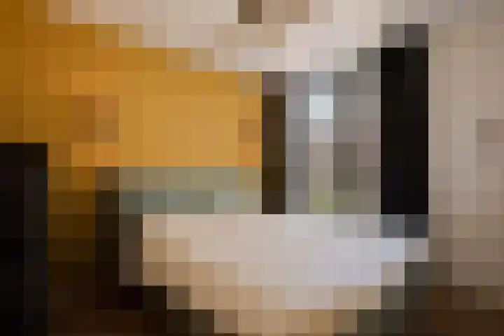 Lindenhoevestraat 57 Amsterdam thumbnail 17