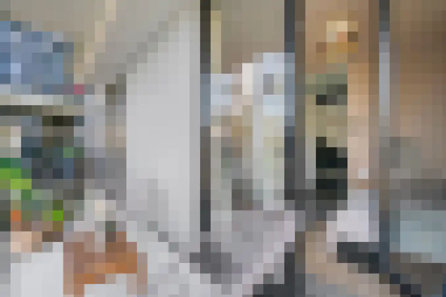 Lindenhoevestraat 73 Amsterdam thumbnail 13