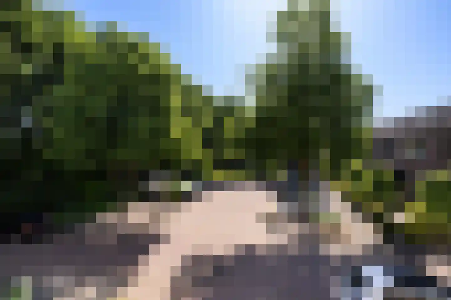 Lindenhof 15 Renswoude thumbnail 33
