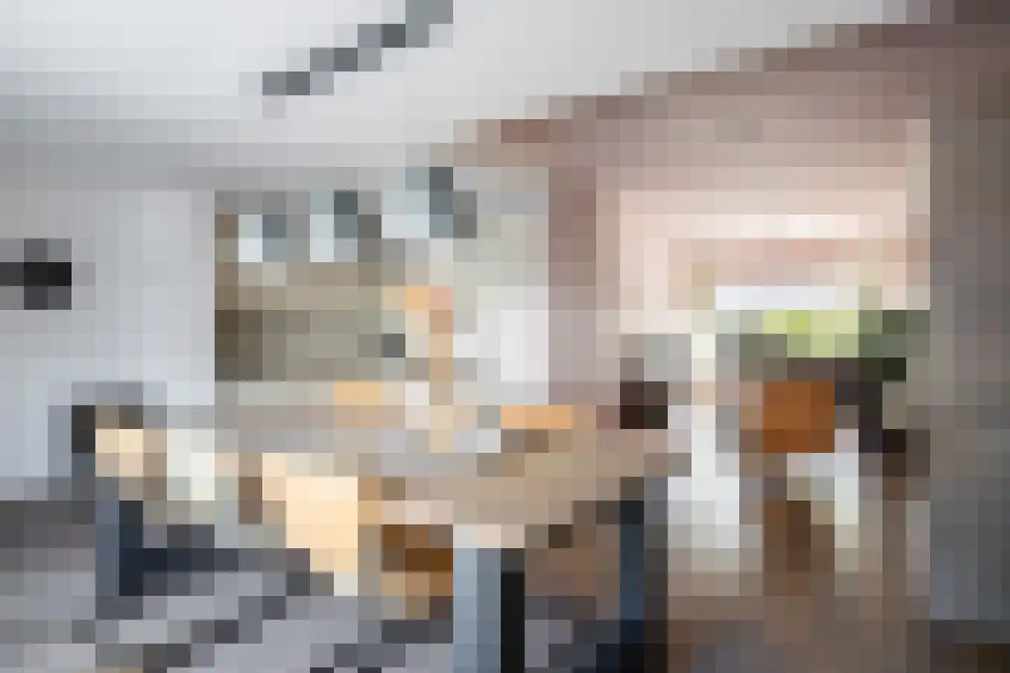Lindenhof 15 Renswoude thumbnail 4