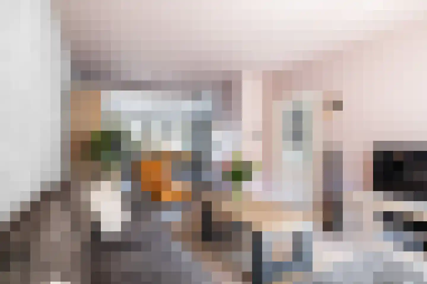 Lindenhof 15 Renswoude thumbnail 6