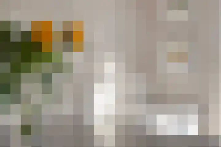 Lindenhof 2 Aduard thumbnail 12