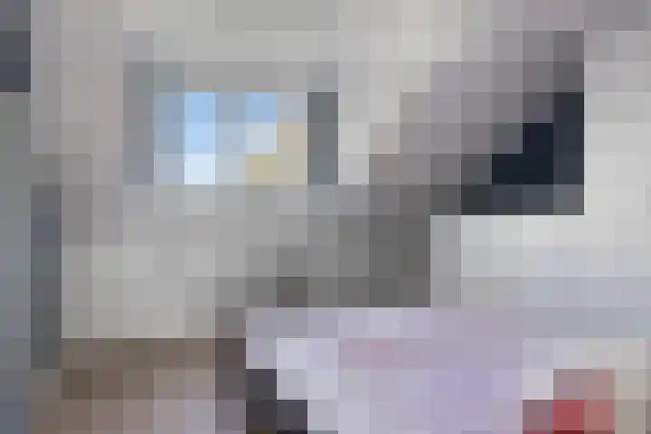 Lindenhof 2 Aduard thumbnail 22