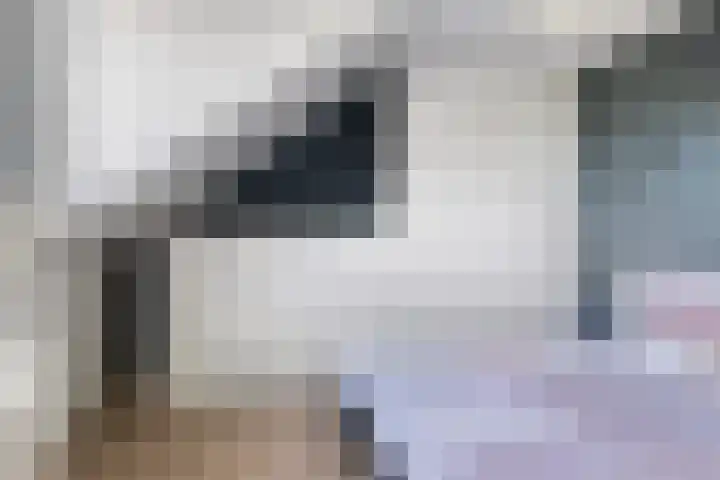 Lindenhof 2 Aduard thumbnail 23