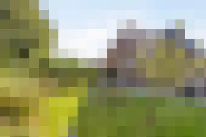 Lindenhof 2 Aduard thumbnail 28