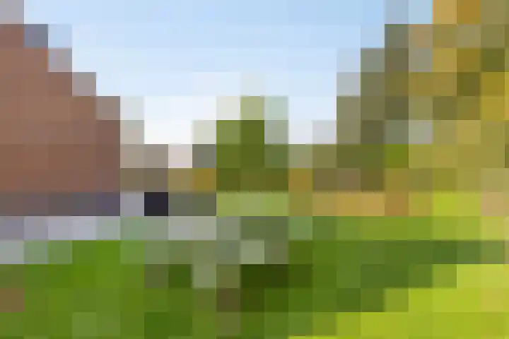 Lindenhof 2 Aduard thumbnail 29