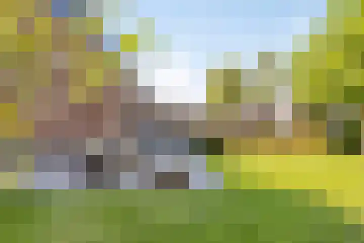 Lindenhof 2 Aduard thumbnail 30
