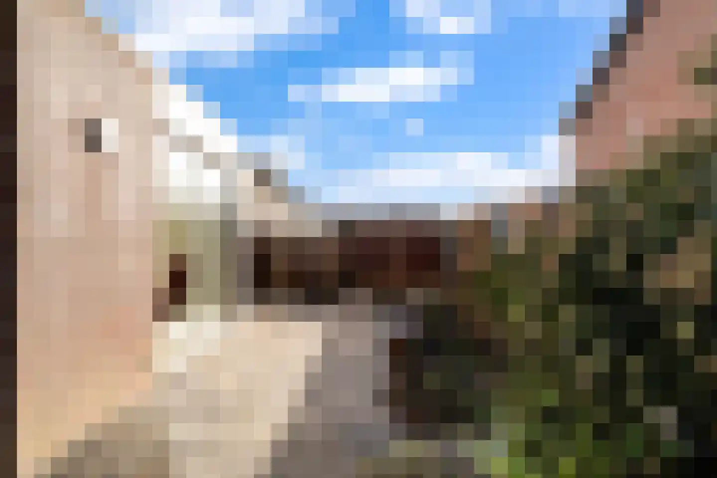Lindenhof 2 Sleeuwijk thumbnail 33